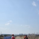 신촌교 밑 이미지