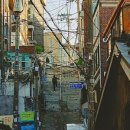 평화로운아파트 이미지