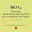 2022/4/11/성주간 월요일(요한 복음 12장 1-11절)/김정일 신부 이미지