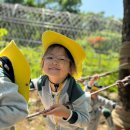 국원유치원 이미지