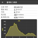 도남항등대 Daum카페