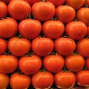 우마미(umami) 이미지