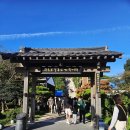 호미곶 | 포항 가볼만한 곳 구룡포 일본인 가옥거리 낮밤(까멜리아,근대역사관) 이까대토(대게김밥) 호미곶 후기