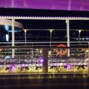 (주)이랜드크루즈 이미지