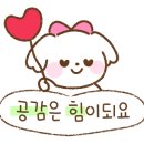 신토불이 영양솥밥 한정식 네이버블로그