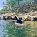 산들바람펜션 | [성주] 포천계곡 평상 이용후기 | 산들바람펜션(펜션이용X) 평상대여가격 시간 취사가능