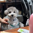 해시태그 | 포항 맛집 추천 ｜ 해시태그 92 내 돈 내산 솔직 후기!