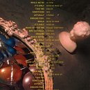 살다보면 | 사공 없는 나룻배가 기슭에 닿듯, 살다보면 도달하게 되는 어딘가