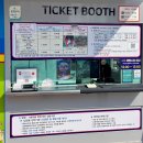 6955 | 묵호 여행 추천지 도째비골 스카이밸리 스릴넘치는 체험시설 이용후기 까지