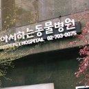 좋아서하는동물병원 이미지