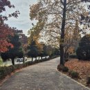 부산보건대학교 석파박물관 | 2024.11.16 ~ 2024.11.22 Weekly Diary