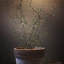 반건축사사무소 이미지