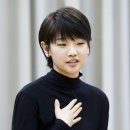 소 담
