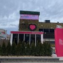 삼닭농장 | [강원도 강릉] 중앙시장 먹거리 맛집 후기 (배니닭강정, 놀랄호떡, 순두부젤라또, 누룽지오징어순대 등)