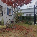 바람불어 좋은날 | 바람불어 좋은 날