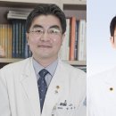 33 이미지