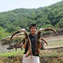 신덕4호 이미지