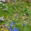 용비쉼터 이미지