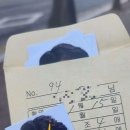 장미앨범사진기획 이미지