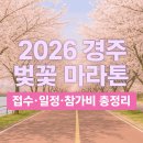 2026 경주 벚꽃 마라톤 + 신청 일정/방법 + 성공 꿀팁 이미지