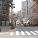 동백바른약국 이미지