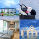 (주)그린아쿠아펫 | 강원도 삼척 쏠비치 리조트 호텔 오션플레이 주차 펫룸 스위트 할인