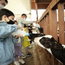 임실 봉황인재학당 | <신년 기획> “임실군 민선 6~8기 일관행정, 2026년 ‘성윤성공’ 완성”