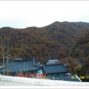 삼신봉 농장 티스토리