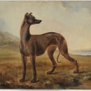 도그캐슬 이미지