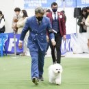 챔피언켄넬 이미지