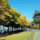 (유)즐거운디자인 이미지