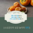 탄탄사진영상스튜디오 이미지