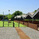 왈왈이 (무실점) 이미지