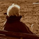 SOS프란치스카의집 이미지