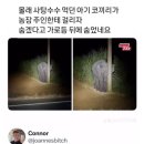 이종화농장 이미지