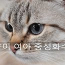 한주동물병원 이미지