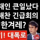 긴급! 노무현 죽음은 문재인 때문? 권양숙 문재인 큰일났다 - 범인은 文-한겨레? 이미지