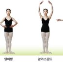 허브빌리 이미지