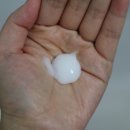 제이나인 이미지