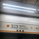강남 압구정에서 양악수술 거울만 보고있어도 만족 / 더페이스치과 일상 후기