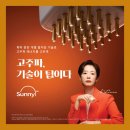 우아의료기 | 써니 퀘이사팁 통증 적은 곽선영리프팅 직접 받아보니