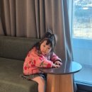 호텔727 | 롯데호텔앤리조트 김해 아기랑 숙박 후기, 겨울 숙박 상세 정보