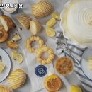 파리바게뜨용인 - 용인시 처인구 명지로 116 | 파리바게뜨용인
