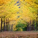 은행약수터 이미지