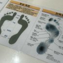 굿피트 코리아 제1사업본부 이미지