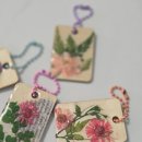 태백시니어힐링(협) | 2025년 태백 행복 아카데미