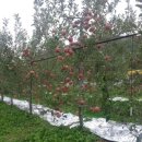 가송농장 이미지