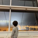 노무내농장 | FSC 좋아하는 사람이 이스타항공(ze817,ze818)타고 옌타이 2박3일 다녀온 여행기 feat. 6세(만4...