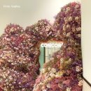 콩코드(Concord) | 수원 스타필드 콩코드(CONCORD) 수영장 &amp; 사우나 주말 이용 후기 | 콩코드 일일권 가격, 시간, 주차정보