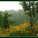 동서세차장 이미지